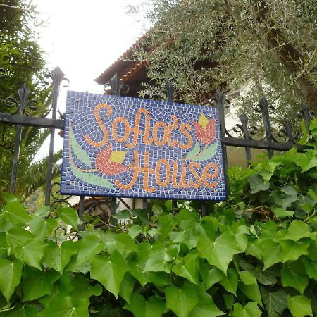 PalaiónTsiflíkion Sofia'S House 아파트 외부 사진