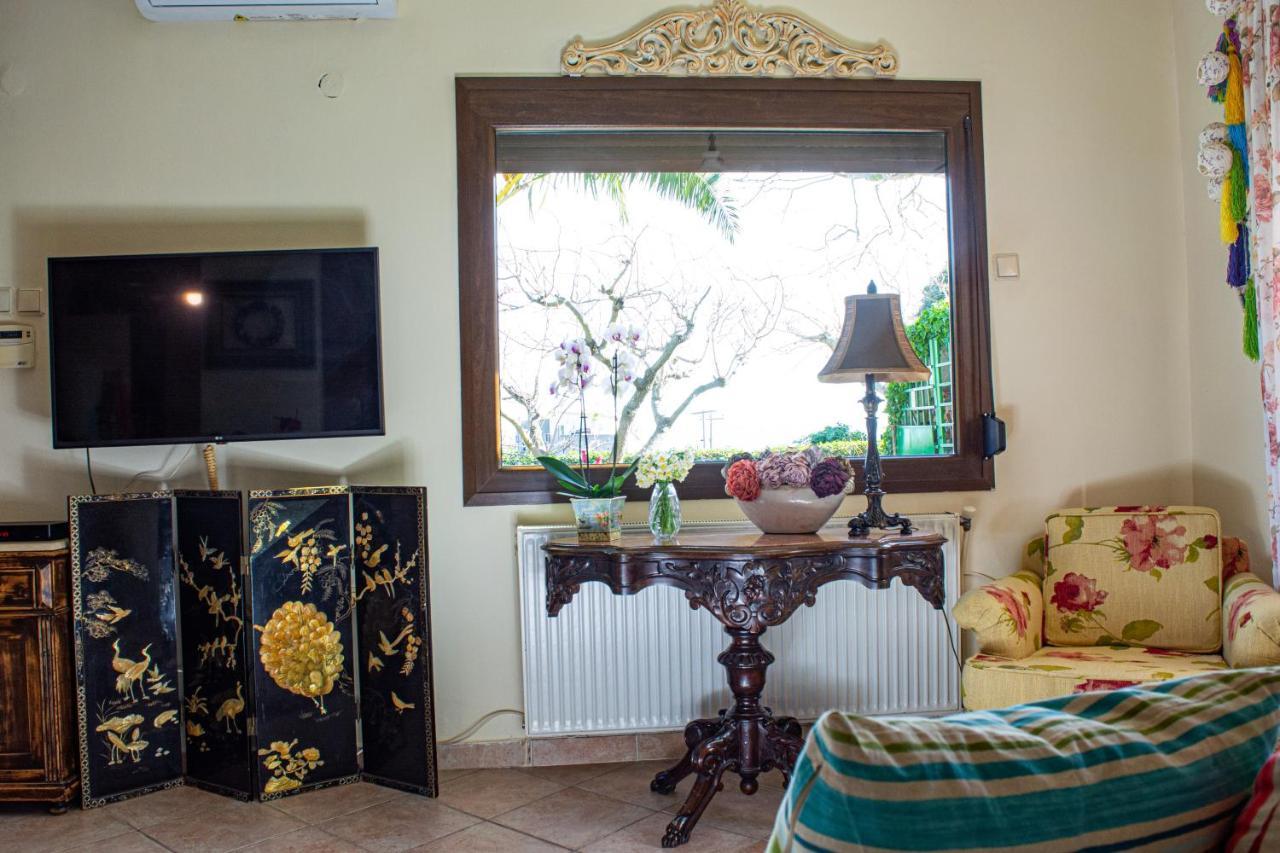 PalaiónTsiflíkion Sofia'S House 아파트 외부 사진