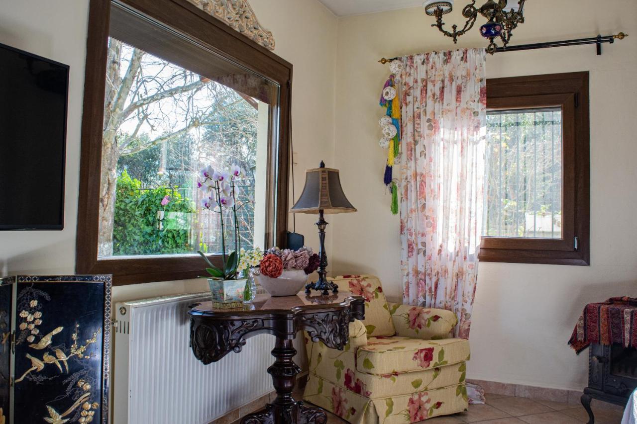 PalaiónTsiflíkion Sofia'S House 아파트 외부 사진