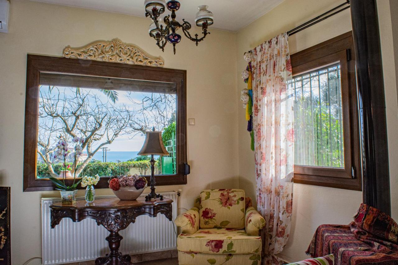 PalaiónTsiflíkion Sofia'S House 아파트 외부 사진