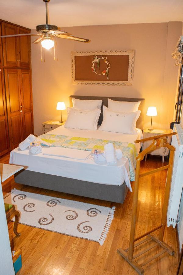 PalaiónTsiflíkion Sofia'S House 아파트 외부 사진