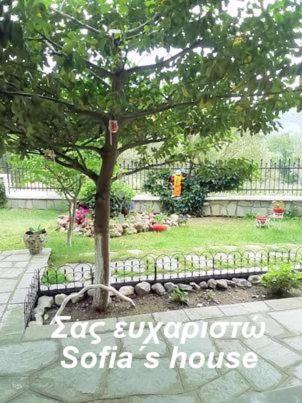 PalaiónTsiflíkion Sofia'S House 아파트 외부 사진